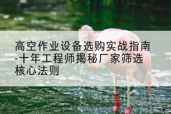 城东剪叉式升降机厂家-高空作业设备选购实战指南-十年工程师揭秘厂家筛选核心法则