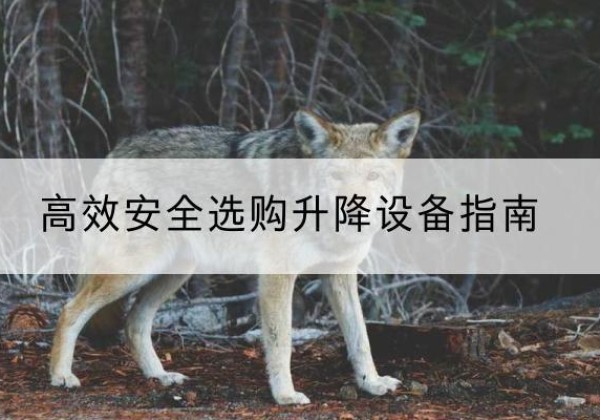 城东升降货梯厂家推荐-*安全选购升降设备指南