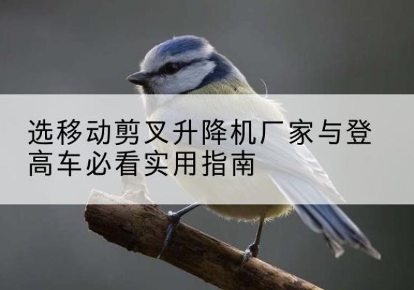 城东电动升降机厂家-选移动剪叉升降机厂家与登高车必看实用指南