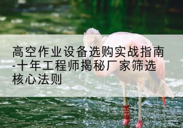 城东剪叉式升降机厂家-高空作业设备选购实战指南-十年工程师揭秘厂家筛选核心法则
